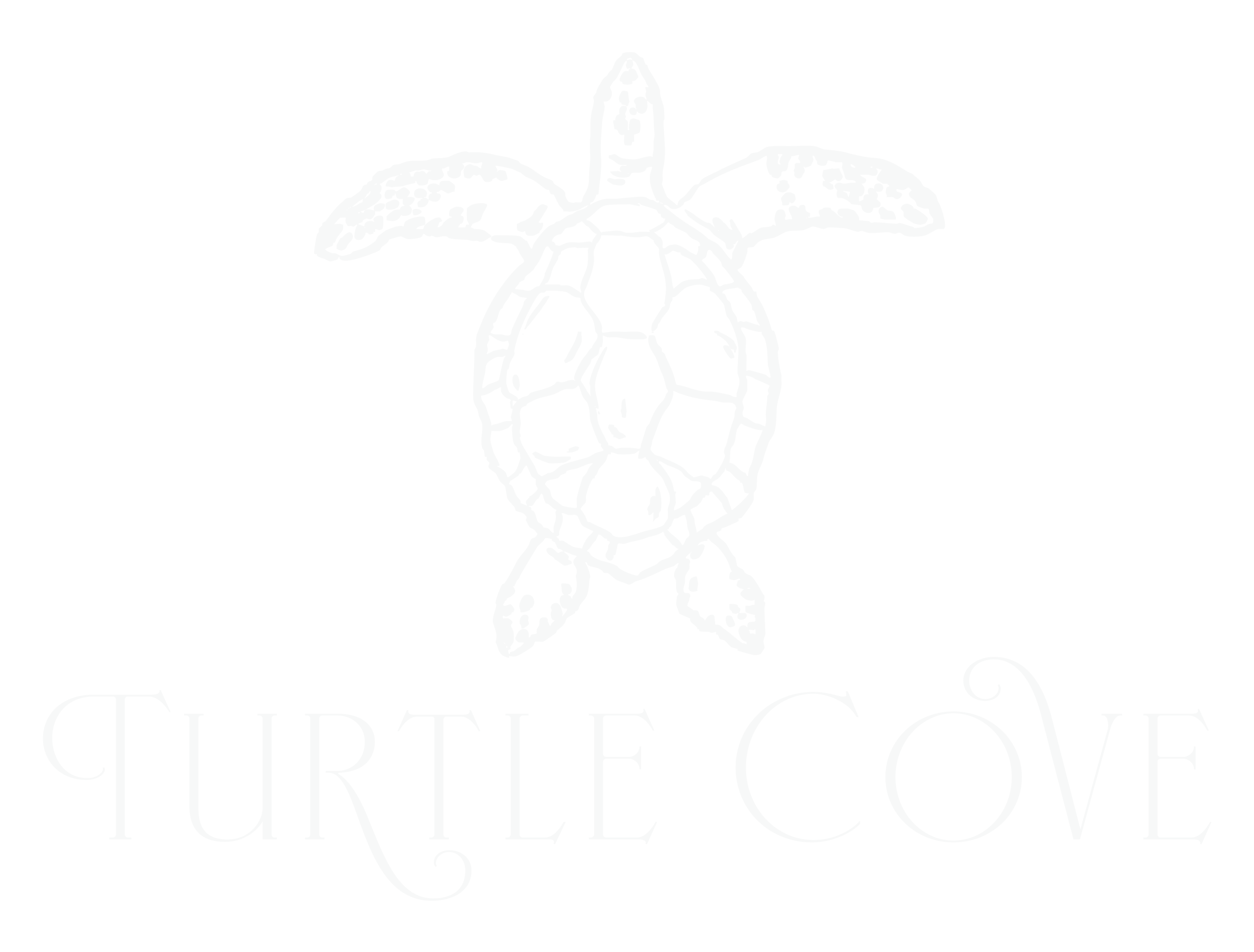 turtle cove logo