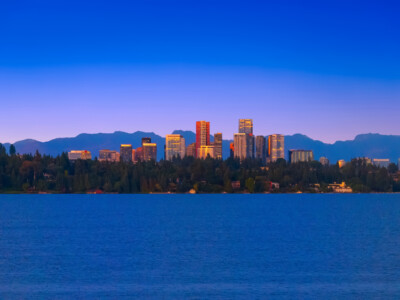 default View of the Seattle waterfront as seen from the Turtle Cove property.