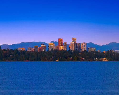 default View of the Seattle waterfront as seen from the Turtle Cove property.